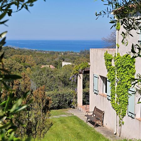 Domaine Punta Della Guardia Villa Vue Mer Dans Nature Protegee, Plage A 1,5 Km Cervione Luaran gambar