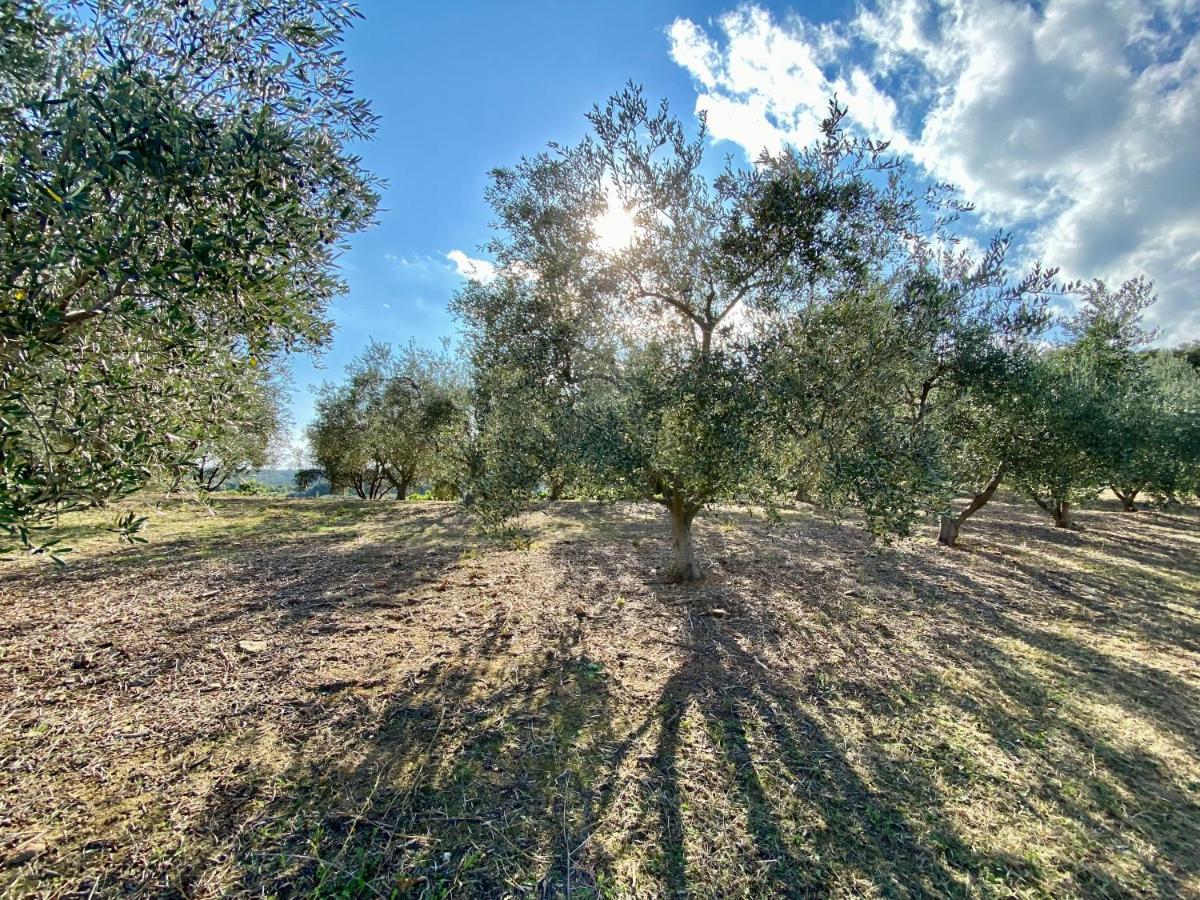 Domaine Punta Della Guardia Villa Vue Mer Dans Nature Protegee, Plage A 1,5 Km Cervione Luaran gambar